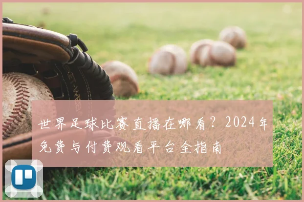 世界足球比赛直播在哪看？2024年免费与付费观看平台全指南